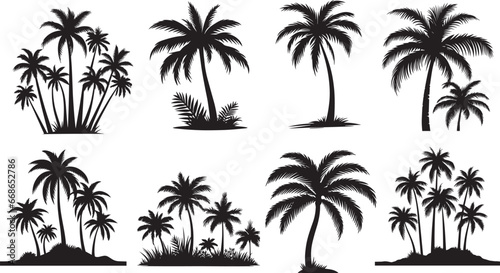 Palm Trees Silhouette  Coconut Tree Silhouette