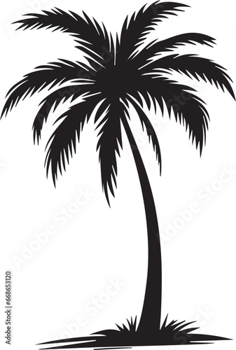 Palm Trees Silhouette  Coconut Tree Silhouette