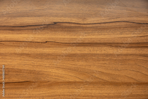 texture of wood with orange and dark brown tree lines