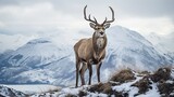 Animals with horns living in the snowy forest, in the midst of winter nature, Generative AI