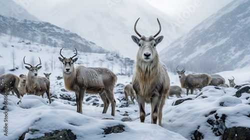 Animals with horns living in the snowy forest  in the midst of winter nature  Generative AI