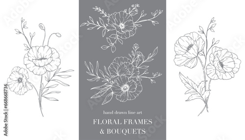 Poppy Flower Line Art. Floral Frames and Bouquets Line Art. Fine Line Poppies Frames Hand Drawn Illustration. Hand Draw Outline Wildflowers. Botanical Coloring Page. Poppy Isolated © Xenia