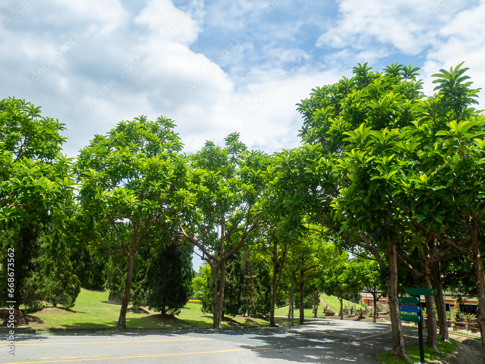 Shady central parks and trees provide shade and are ideal for exercising and relaxing during the holidays.