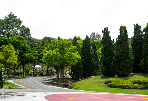 Outdoor park and shady trees providing shade on a transparent background.