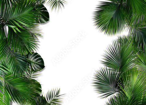 Palm branches in the corners, tropical plants decoration elements © YauheniyaA