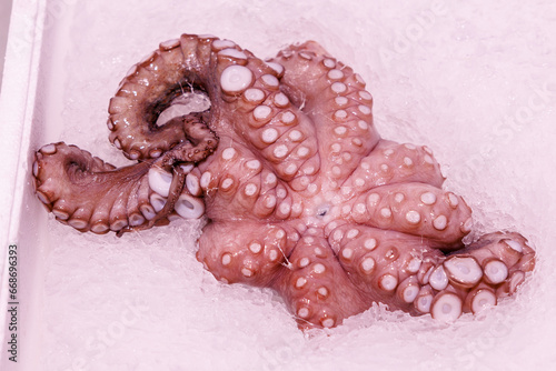 Octopus on ice stored in a supermarket. Background with selective focus and copy space