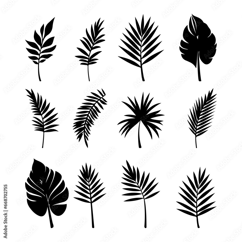 Set of black silhouettes of tropical palm leaves, trees. Set of black silhouettes of tropical palm leaves, trees.