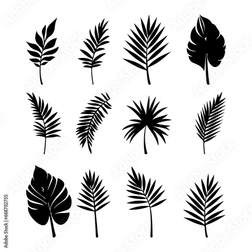 Set of black silhouettes of tropical palm leaves, trees.