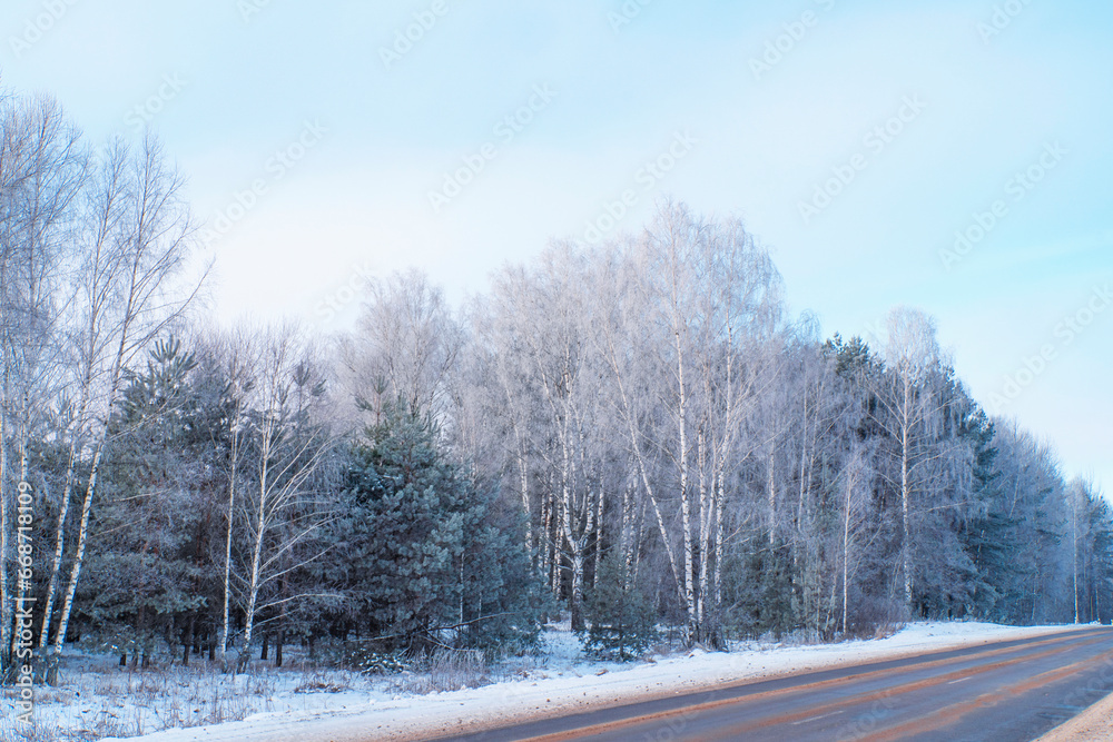Road in the winter forest. Frozen winter forest with snow covered trees. Road in the winter forest. Frozen winter forest with snow covered trees.