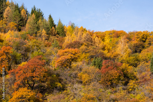 Autumn landscape in the mountains. Colorful bright colors in the mountains of Almaty.