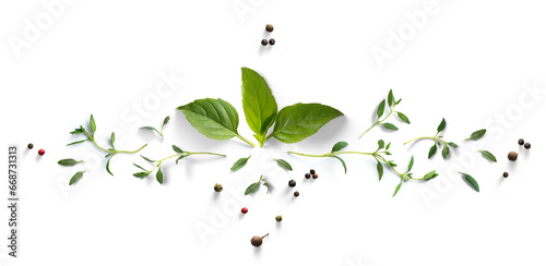 Collection of fresh herb leaves. thyme and basil Spices, herbs on a white table. PNG Food background design element with transparent shadow on transparent background.