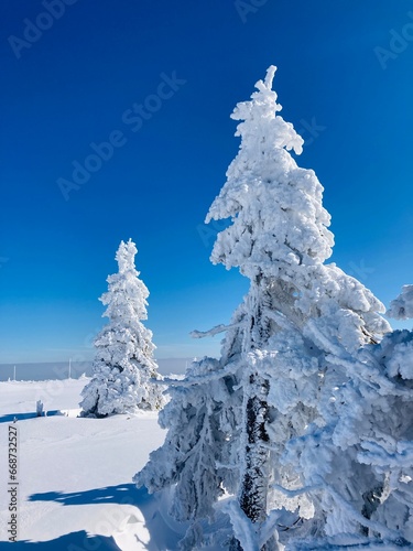  Krkonoše mountains scenery. Sněžka summit viewed from Labská bouda. Empty winter landscape. Mountain wonderland. photo