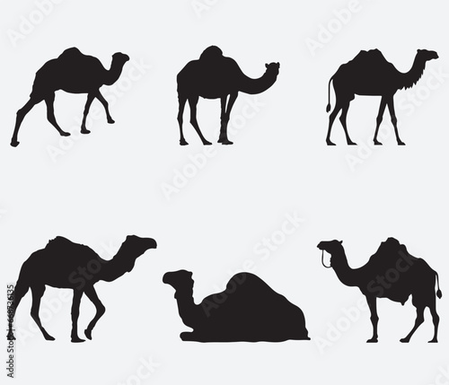 Silhouette Desert Travel Animal Black Africa African Tourism Wildlife Safari Zoo Sahara Camels Symbol Arab Asia Camel icon Camel isolated Camel silhouette free Camel vector silhouette Camels desert Wi