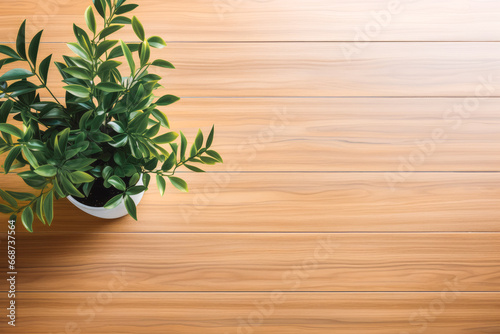 Modern working empty wooden desk with one green plant. Plain wooden background and table top for mockups.