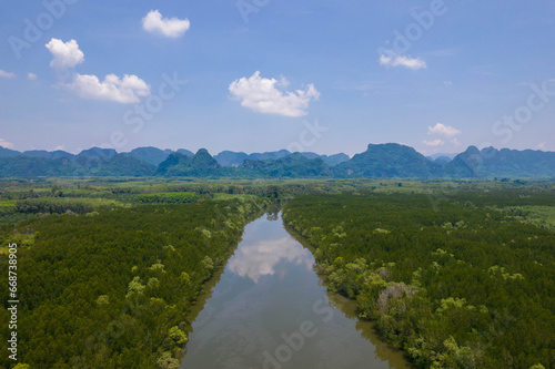aerial view of mangrove forest