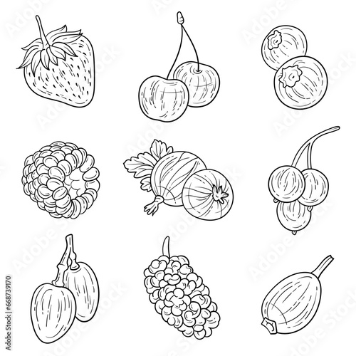 Set of hand drawn berries ink style. Strawberry, cherry, blueberry, raspberry, gooseberry, currant, grape, mulberry, brier. For menu, recipe book, educational, coloring items design