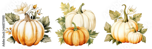 Set of hand drawn watercolor vintage pumpkin with leaves isolated on transparent background with clipping path
