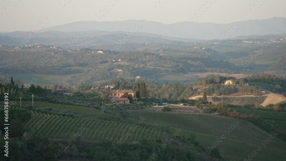 View of vineyards and cypress trees in Tuscan landscape near San Gimignano at sunset, San Gimignano, Tuscany, Italy View of vineyards and cypress trees in Tuscan landscape near San Gimignano at sunset, San Gimignano, Tuscany, Italy