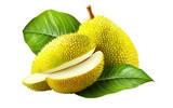 Tropical Jackfruit for Sale on a Clear Surface or PNG Transparent Background.