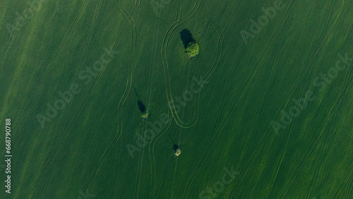 green wheat field landscape. Aerial view green field landscape