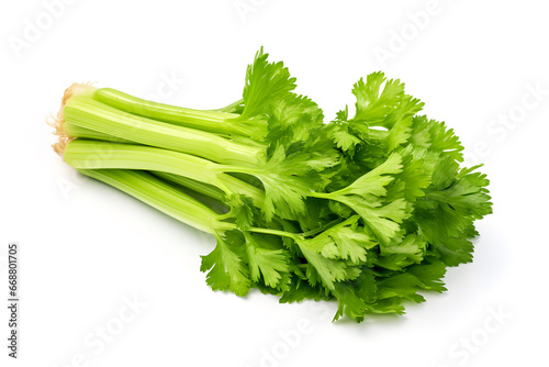 Closeup Fresh celery vegetable isolated on white background, food for health care concept