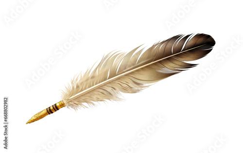 The Art of Calligraphy with Quill Pens on a Clear Surface or PNG Transparent Background.
