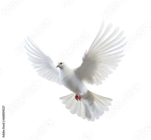 white dove flying with wings wide open isolated on a transparent background. Generative AI 