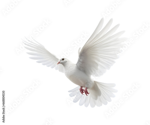 white dove flying with wings wide open isolated on a transparent background. Generative AI  © Breyenaiimages