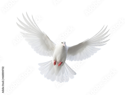 white dove flying with wings wide open isolated on a transparent background. Generative AI  © Breyenaiimages