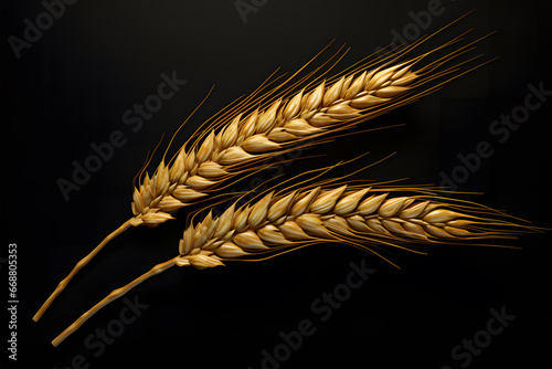wheat ears and stalks on a black background ai generative