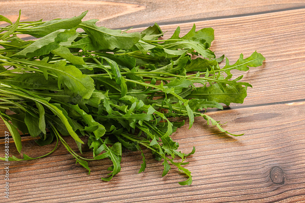 Fresh tasty natural organic rucola Fresh tasty natural organic rucola