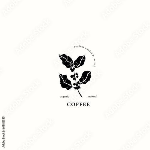 Flat vector coffee plant drawing