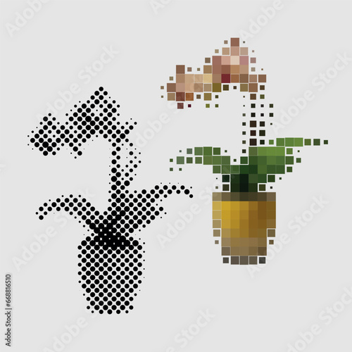 Houseplant hyacind flower growing in pot to decorate home interior. Room plant with green petals. Hyacind homeplant made of colored and black and white dots of different sizes. Gardening, floriculture