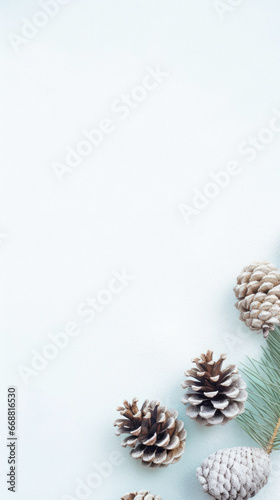 Cones and pine branches on a white background. christmas card.
