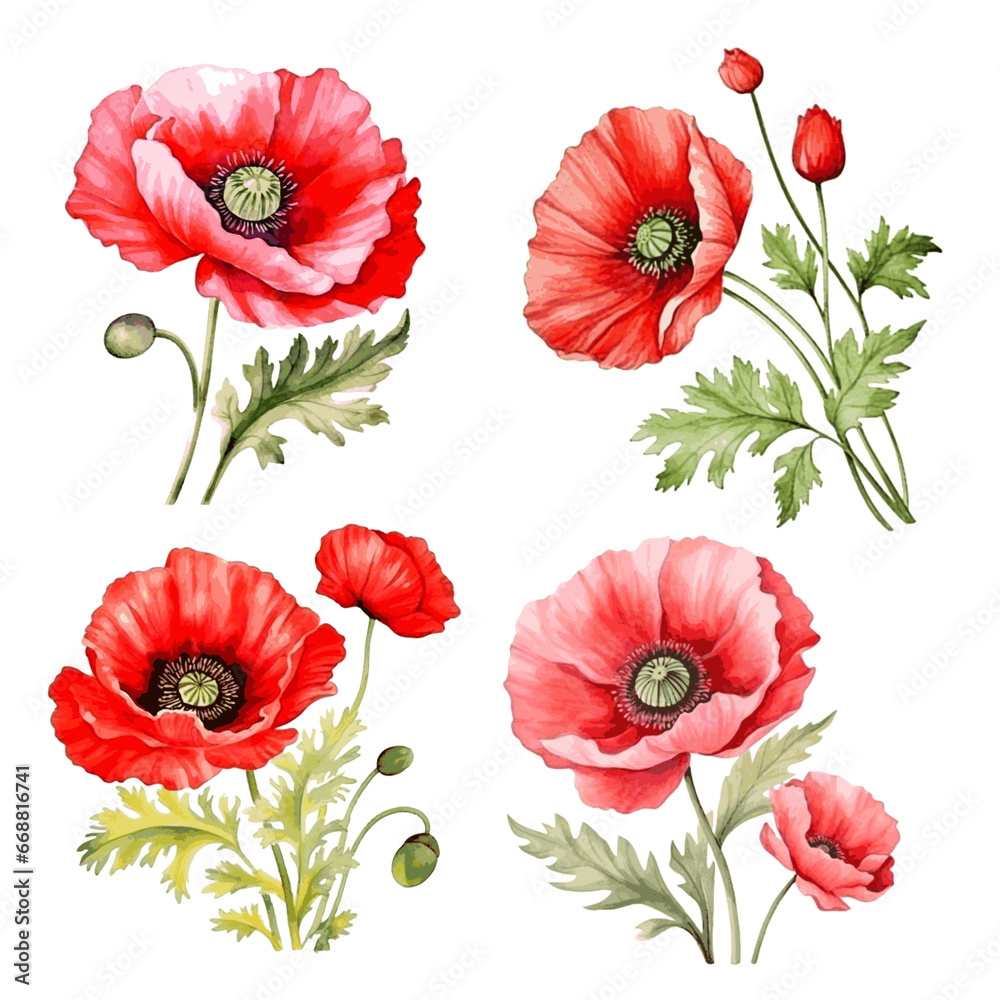 Red beautiful poppy flowers with leaves watercolor paint art decor for greeting card