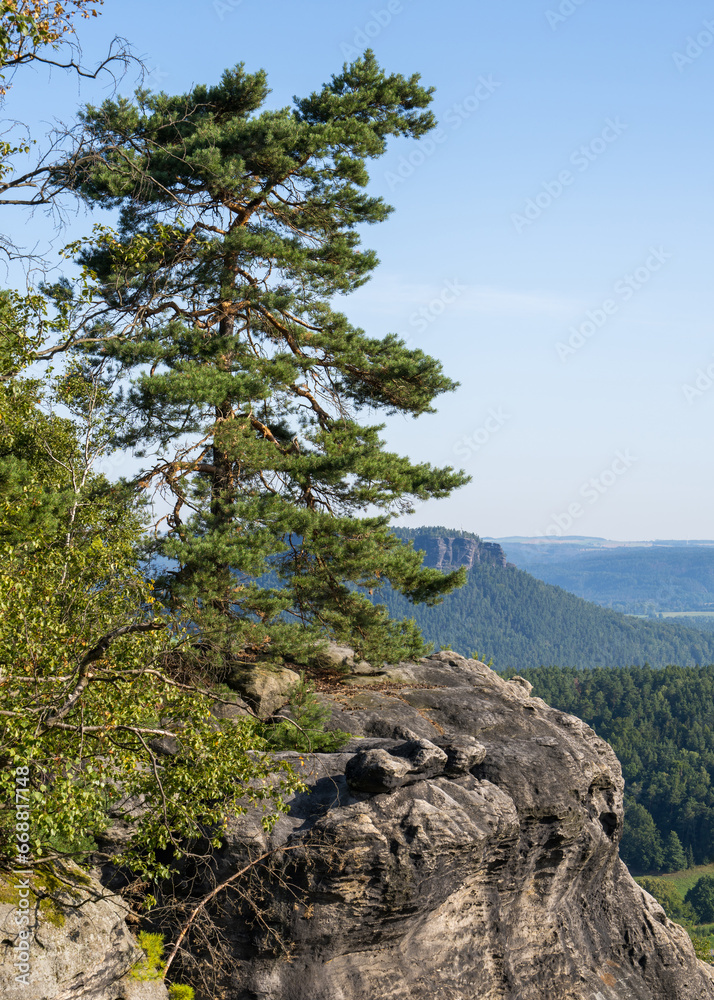 An image of a lonely pine tree growing on a rock. Sandstone cliffs in the Elbe River valley, near Dresden. Saxon Switzerland National Park, Germany. Famous tourist spot An image of a lonely pine tree growing on a rock. Sandstone cliffs in the Elbe River valley, near Dresden. Saxon Switzerland National Park, Germany. Famous tourist spot