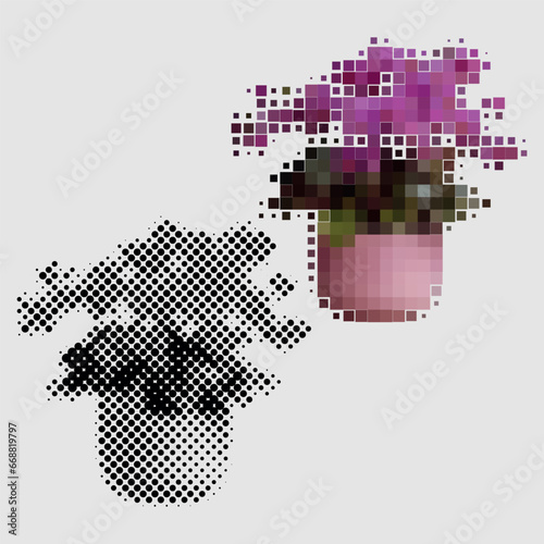 Begonia houseplant flower growing in pot for home interior decoration. Room plant with green petals. Begonia homeplant made of colored and black and white dots of different sizes. Violet, platycodon