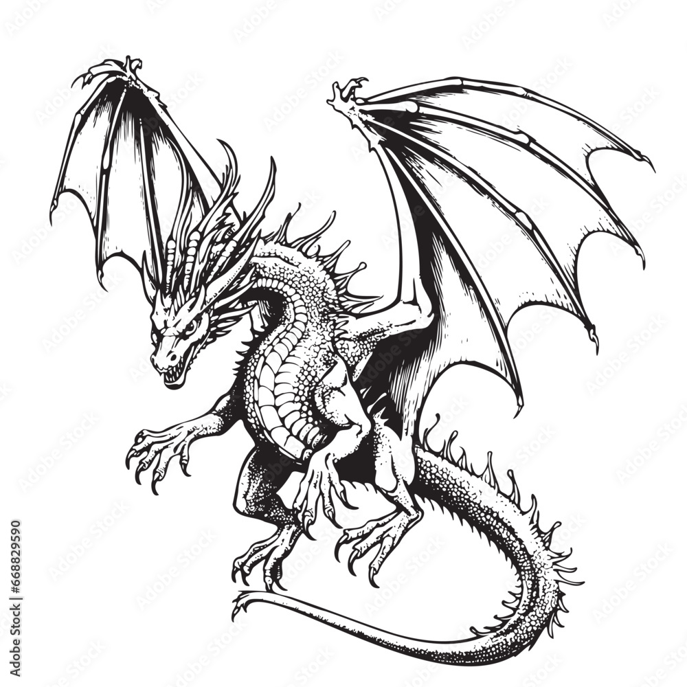 Dragon attacker, hand drawn sketch Vector illustration Wild animals ...