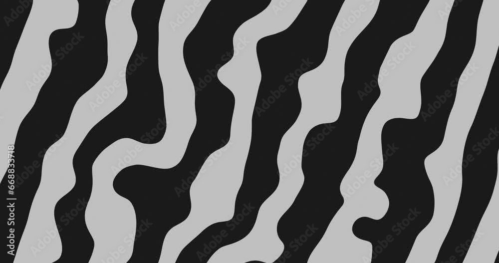 diagonally moving white wavy topology lines over black background. Seamless looped Abstract animated wavy line motion graphic background. Abstract moving topographic map lines.