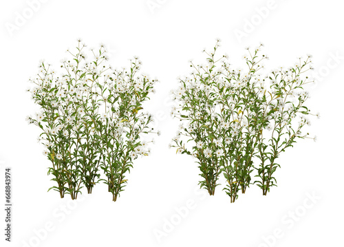 Fototapeta Naklejka Na Ścianę i Meble -  Variety of flowers and trees on transparent background