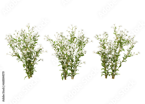 Variety of flowers and trees on transparent background