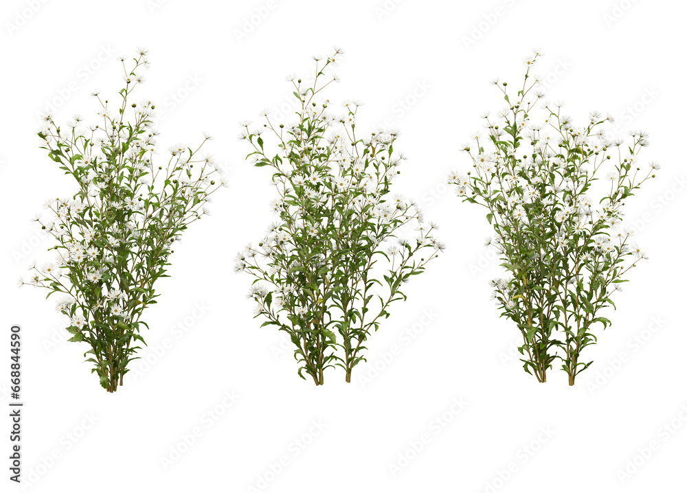 Fototapeta premium Variety of flowers and trees on transparent background