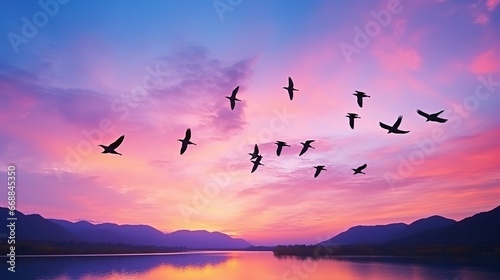 Silhouette of flying seagulls at sunset sky background © Sariyono