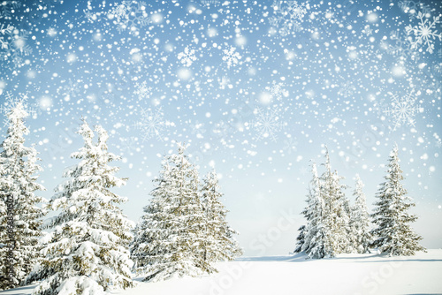 beautiful winter landscape with snowy fir trees