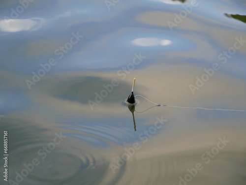 A black and white float on the surface of the lake on a sunny summer day. Fishing tackle made of plastic in the reflection on the surface of the water.