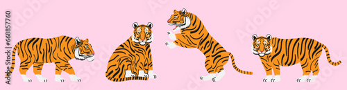 Set of tigers in different poses, in flat style. The tiger stands, lies, walks, hunts. Animals of Asia. Big cats.