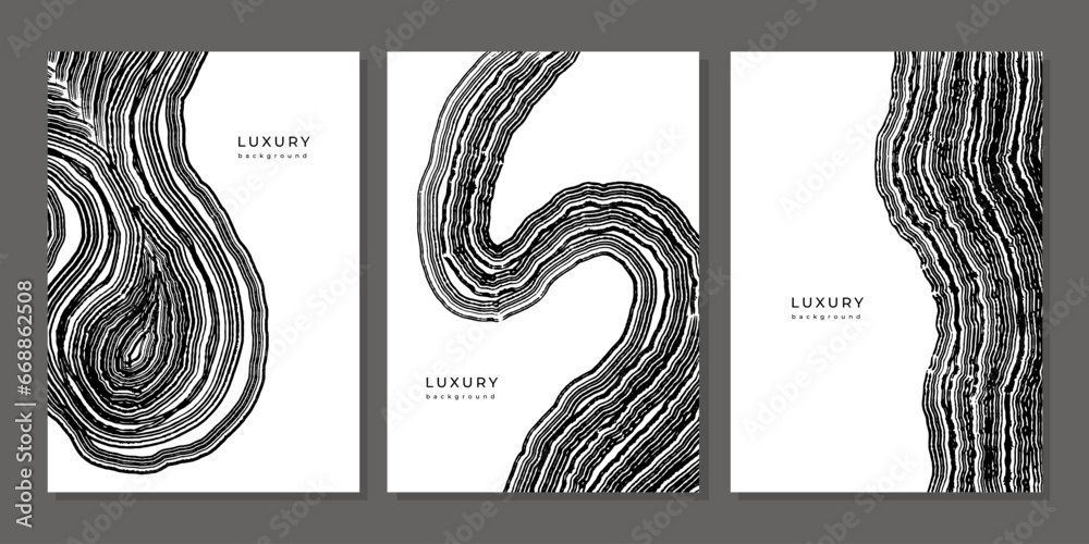 Set of luxury black and white backgrounds with wood annual rings texture. Template with shiny tree ring pattern. Stamp of tree trunk in section. Wooden concentric circles. Grunge background