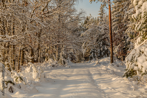 Unplowed gravel road in the countryside after snowfall photo