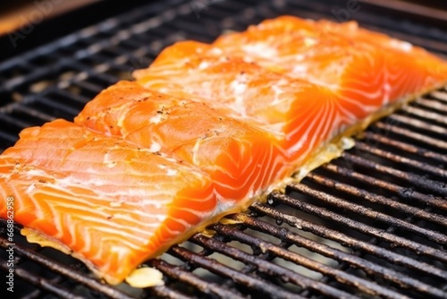 freshly smoked salmon fillet with skin on a grill grid