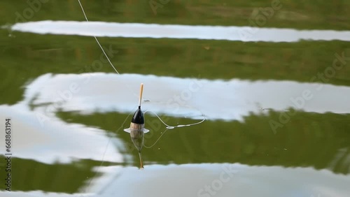 A black and white float on the surface of the lake on a sunny summer day. Fishing tackle made of plastic in the reflection on the surface of the water.